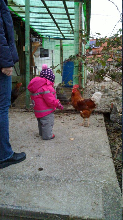 Antonia lernt "Gock, gock"