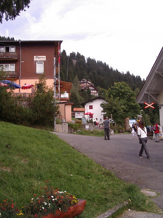 Ausflug nach Rigi Kaltbad mit Hotel Bergsonne