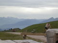 Das erste MTB auf dem Hochweg zur Rigi Kulm...Hut ...