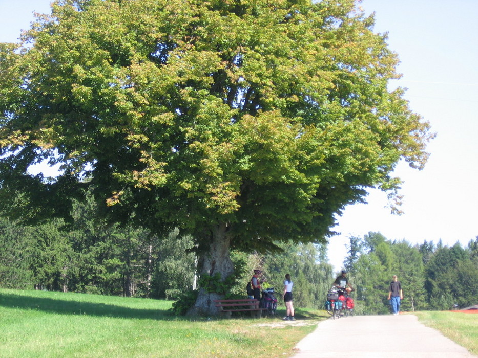 Pause zwischen Dornstetten und Hallwangen