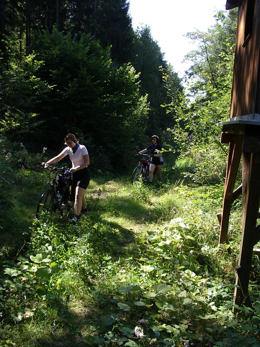 ... Radfahrer auf Abwegen