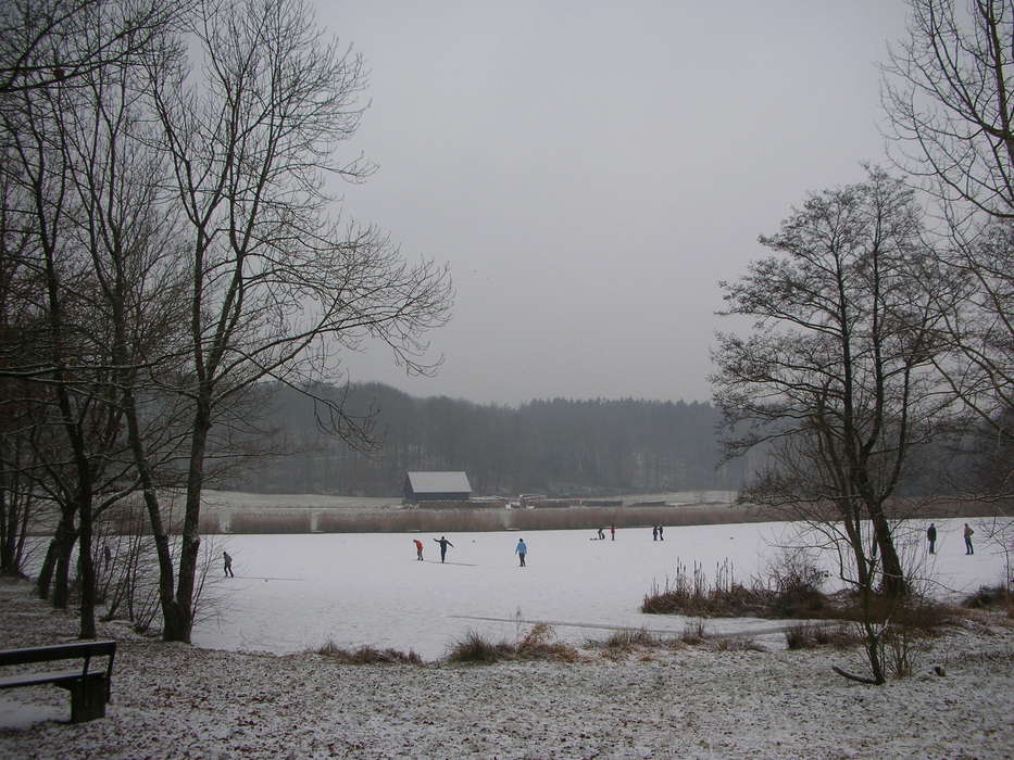 Am Neumühlsee ist wieder was los auf dem Eis....