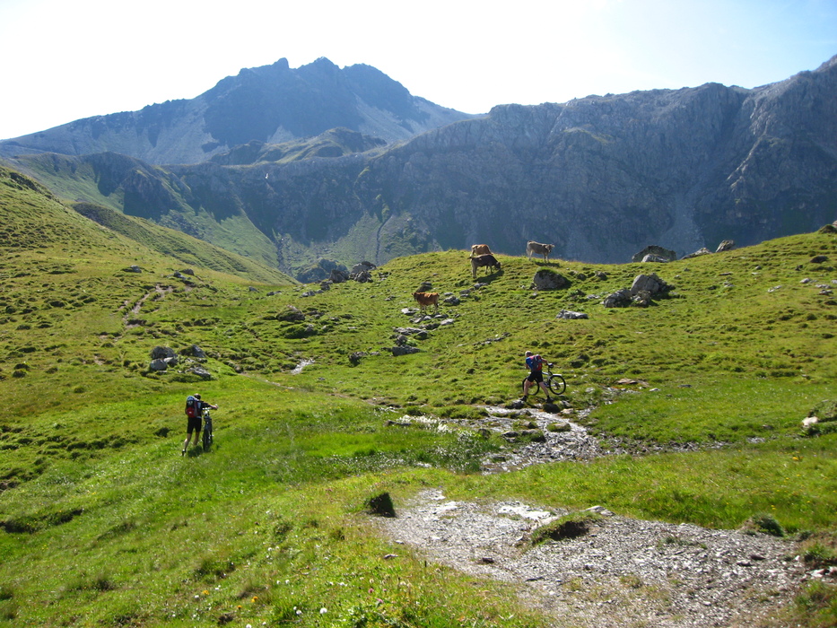 Hochmoor: Nur nicht stecken bleiben