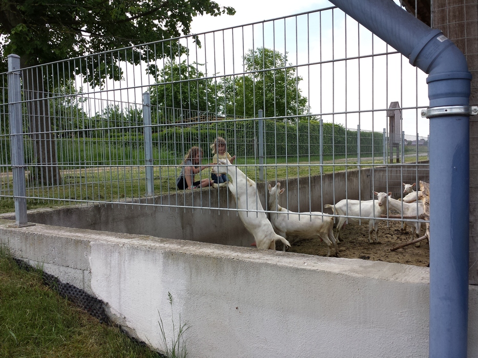 Beim Ziegenhof