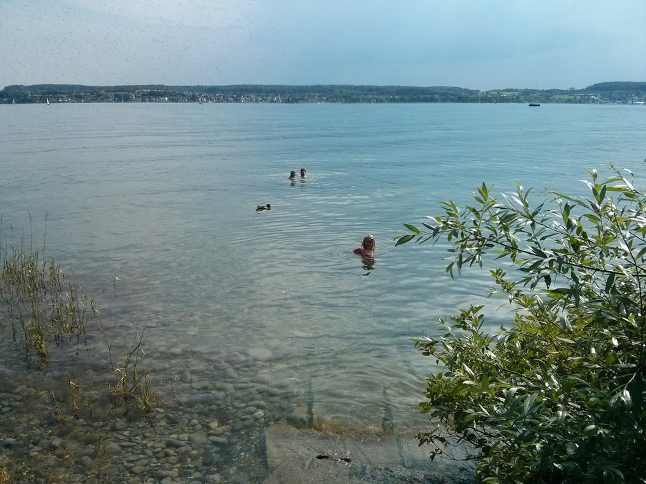 Suchbild