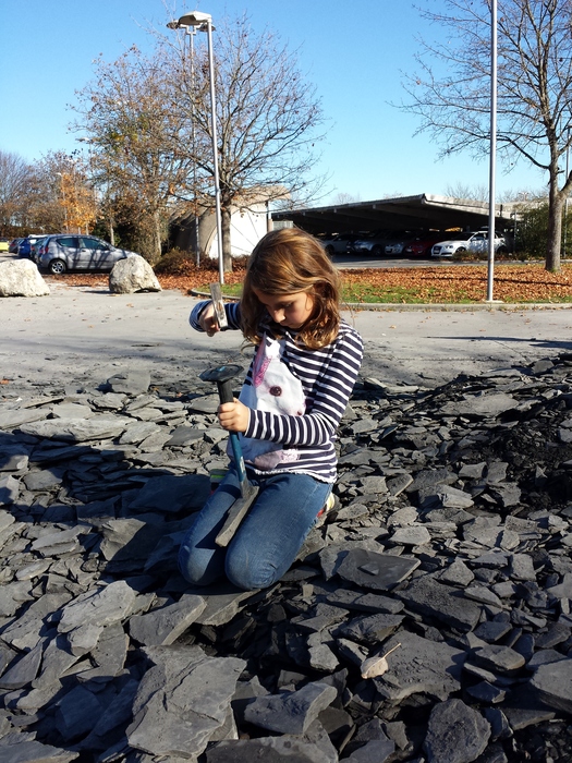Kosmos Ausgrabungsset Fossilien