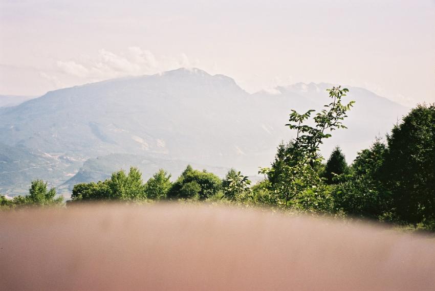 Zwei Tage später...Der Monte Brione ist in Si...