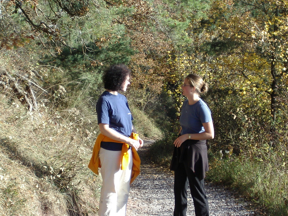 Eine lange Wanderung von Entringen nach Herrenberg...