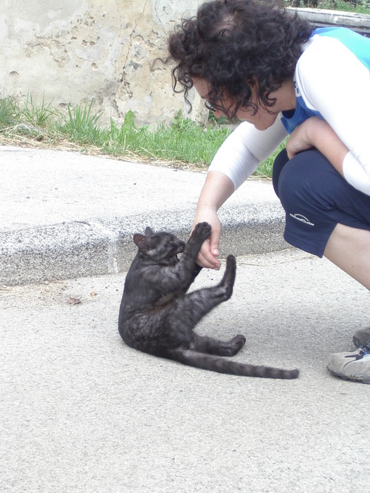 ...für eine Schmusekatze?