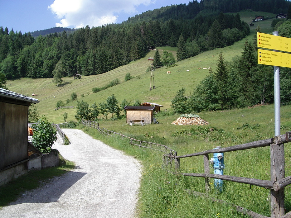 Ganz schön bergtaugliche Fahrzeuge