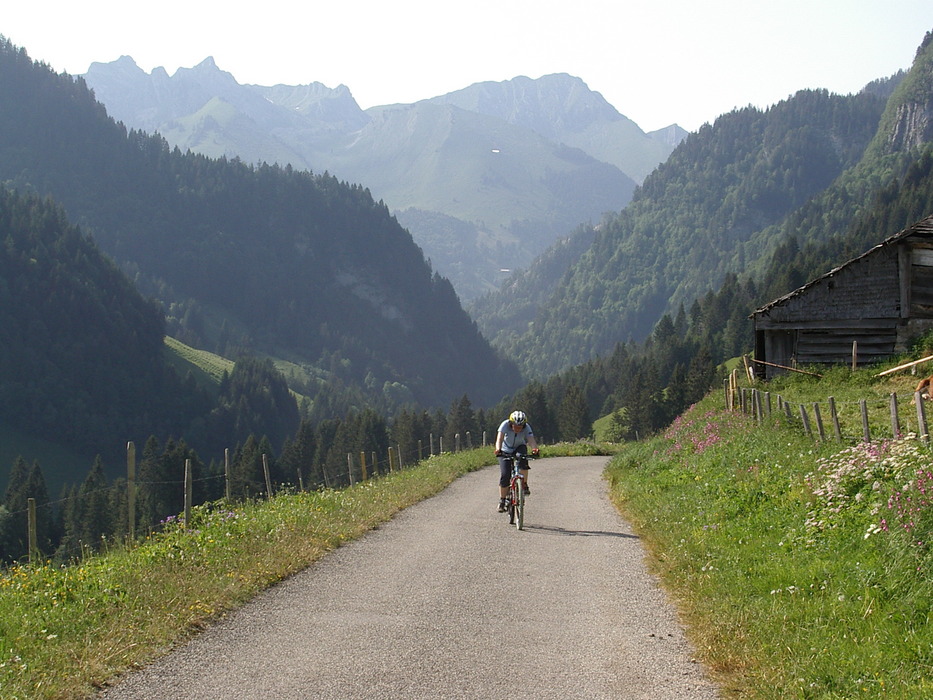 bevor es zum Lac de l'Hongrin ansteigt