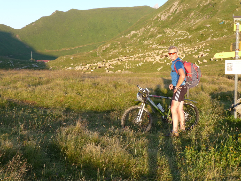 Am Col de Chésery werden wir von Schafen......