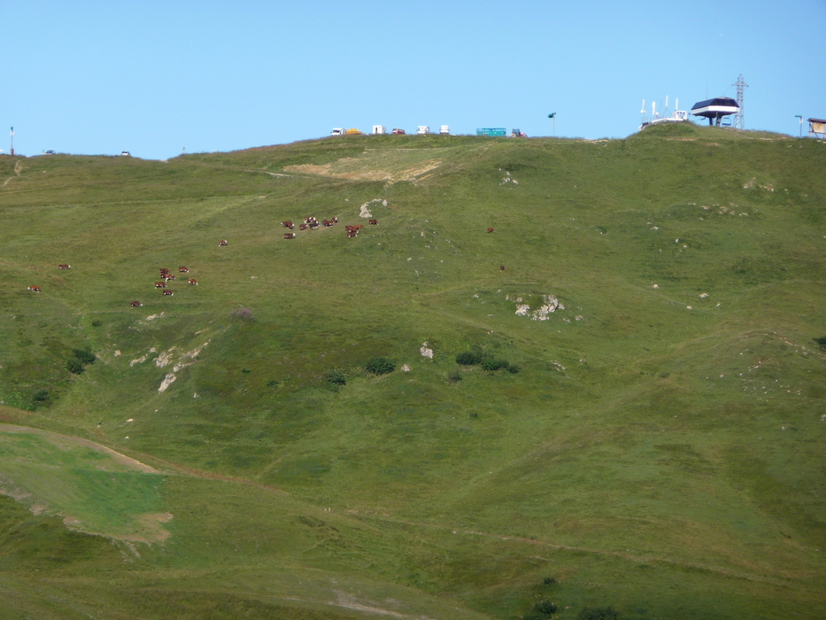 Netter Campingplatz auf fast 2000m Höhe (Col ...