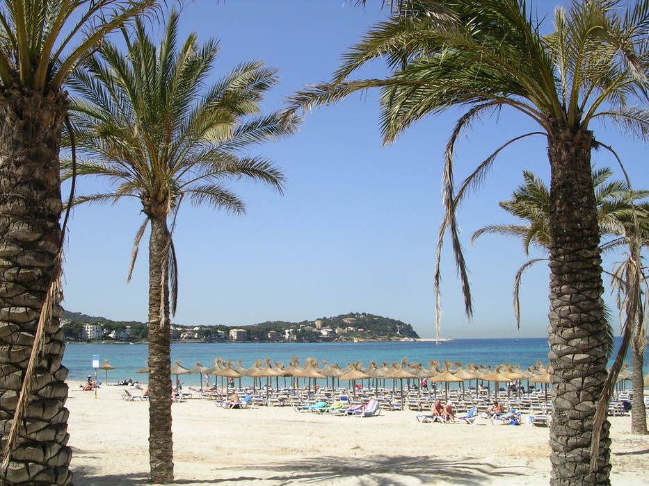 Sandstrand mit Palmen außen...