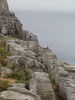 Angler in Peniche