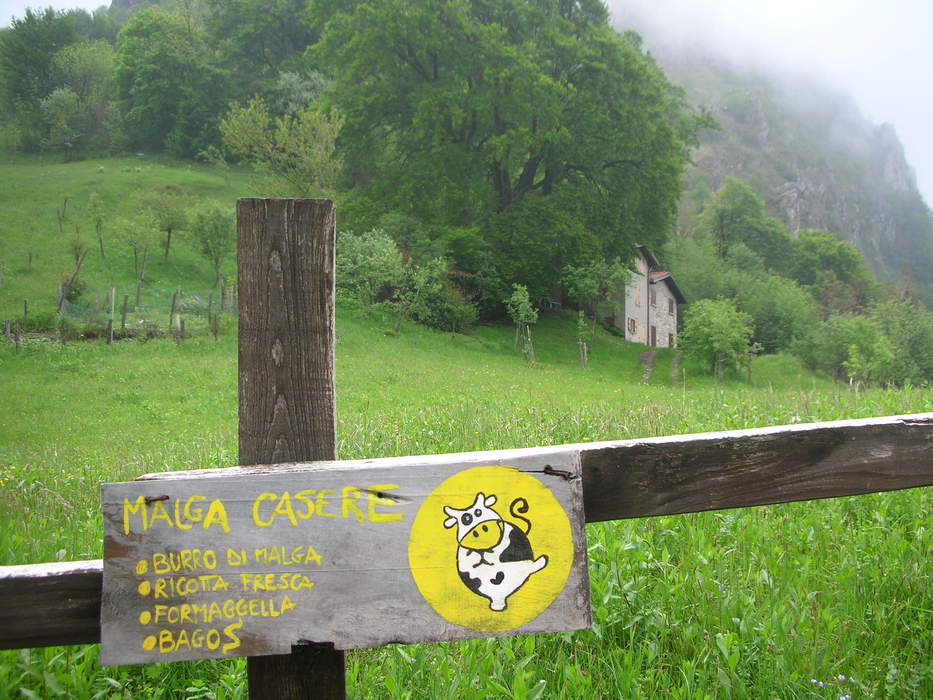 Malga Casere, da gibt es wenigstens was zu essen