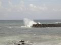 Am Playa Jardin in Puerto de la Cruz