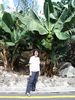 Bananenplantage...