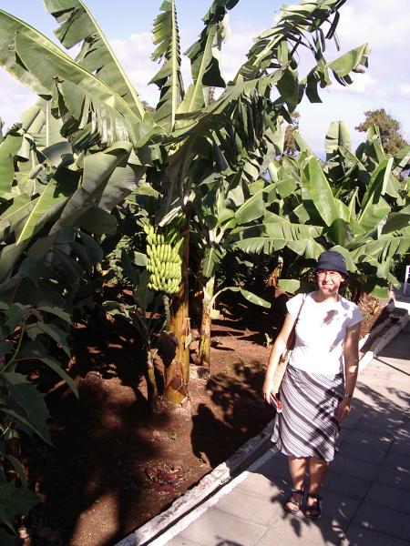 In der Bananera El Guanche gibt es nicht nur Banan...