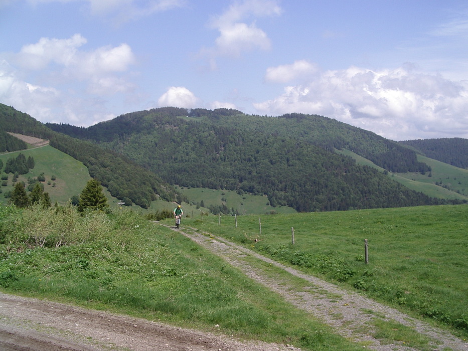 Nach kurzem Zwischenanstieg